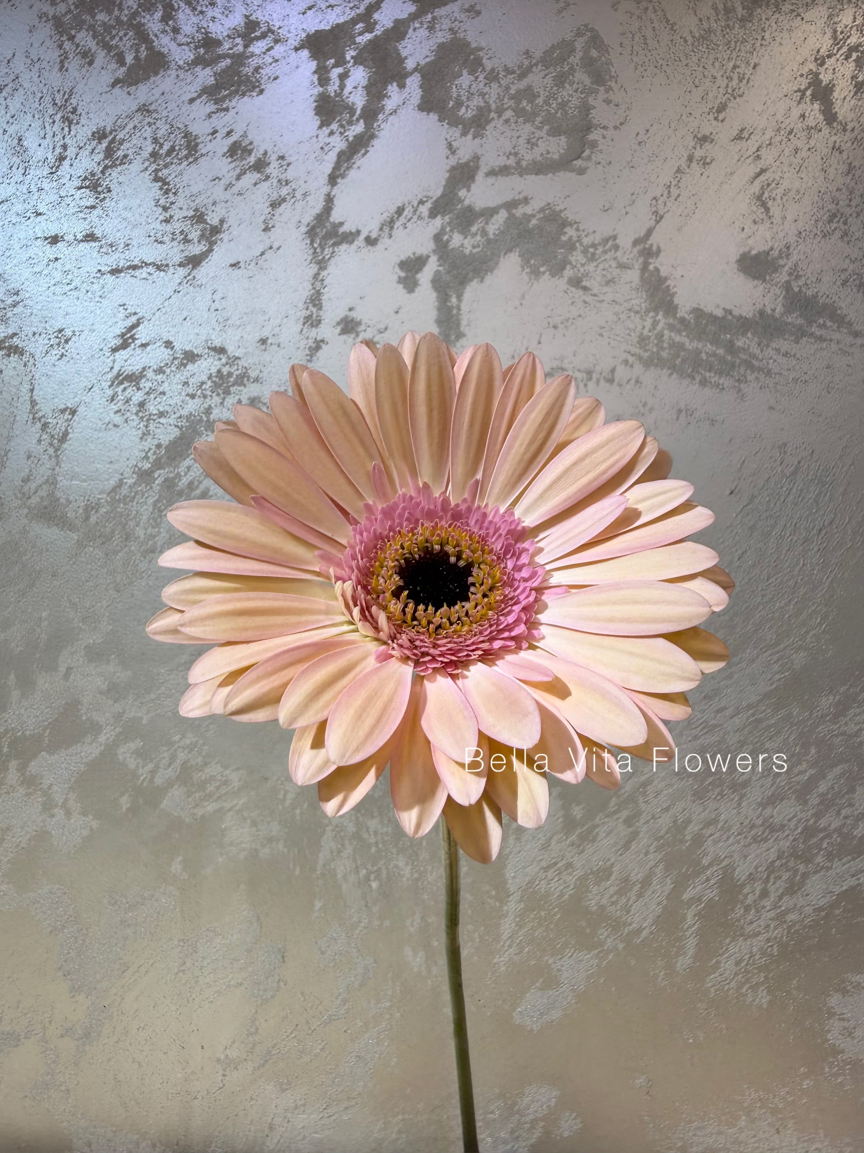 Single Flowers